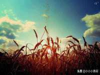 中卫市智悦商贸有限公司