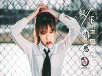 中卫市智悦商贸有限公司