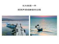 中卫市智悦商贸有限公司
