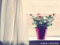 中卫市智悦商贸有限公司