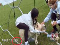 中卫市智悦商贸有限公司