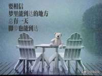 中卫市智悦商贸有限公司
