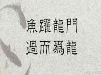 中卫市智悦商贸有限公司