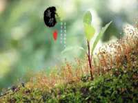 中卫市智悦商贸有限公司