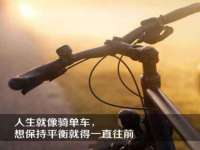 中卫市智悦商贸有限公司