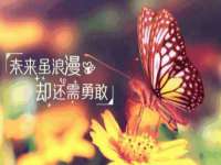 中卫市智悦商贸有限公司
