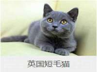 中卫市智悦商贸有限公司