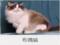 中卫市智悦商贸有限公司
