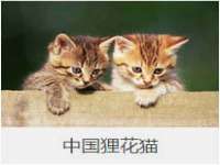 中卫市智悦商贸有限公司
