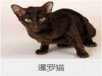 中卫市智悦商贸有限公司