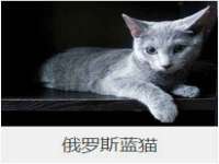 中卫市智悦商贸有限公司