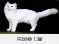 中卫市智悦商贸有限公司