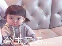 中卫市智悦商贸有限公司