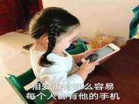 中卫市智悦商贸有限公司