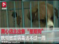 中卫市智悦商贸有限公司