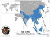 中卫市智悦商贸有限公司