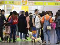 中卫市智悦商贸有限公司