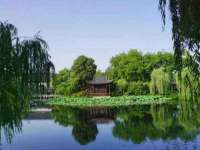中卫市智悦商贸有限公司