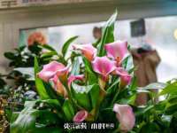 中卫市智悦商贸有限公司