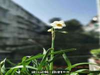 中卫市智悦商贸有限公司