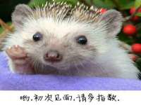 中卫市智悦商贸有限公司