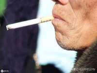 中卫市智悦商贸有限公司