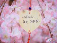中卫市智悦商贸有限公司