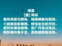 中卫市智悦商贸有限公司
