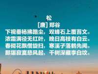 中卫市智悦商贸有限公司