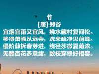 中卫市智悦商贸有限公司