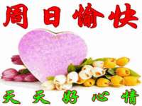 中卫市智悦商贸有限公司