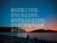 中卫市智悦商贸有限公司