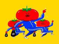 中卫市智悦商贸有限公司