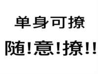 中卫市智悦商贸有限公司
