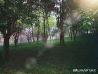 中卫市智悦商贸有限公司