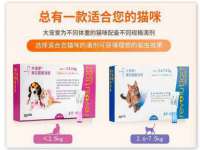 中卫市智悦商贸有限公司