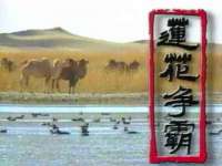 中卫市智悦商贸有限公司