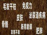 中卫市智悦商贸有限公司
