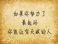 中卫市智悦商贸有限公司