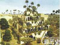 中卫市智悦商贸有限公司