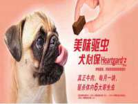 中卫市智悦商贸有限公司