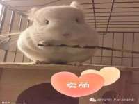 中卫市智悦商贸有限公司