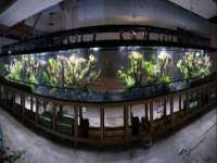 中卫市智悦商贸有限公司