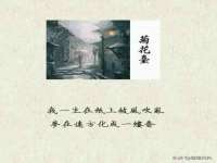 中卫市智悦商贸有限公司