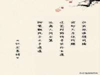 中卫市智悦商贸有限公司