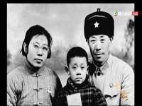 中卫市智悦商贸有限公司
