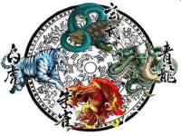中卫市智悦商贸有限公司