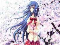 中卫市智悦商贸有限公司