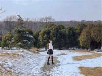 中卫市智悦商贸有限公司