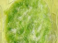中卫市智悦商贸有限公司
